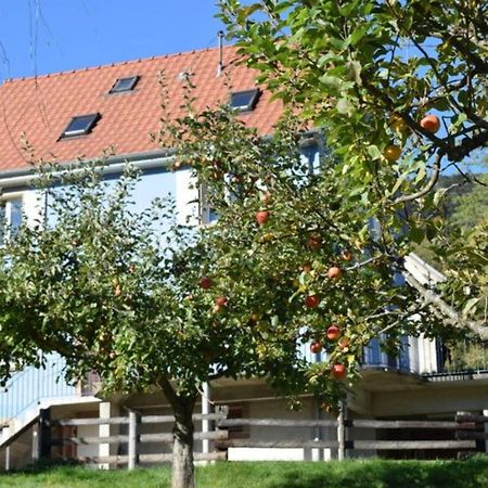 Les Locations De Stephanie ,Gite Le Verger Sondernach Εξωτερικό φωτογραφία