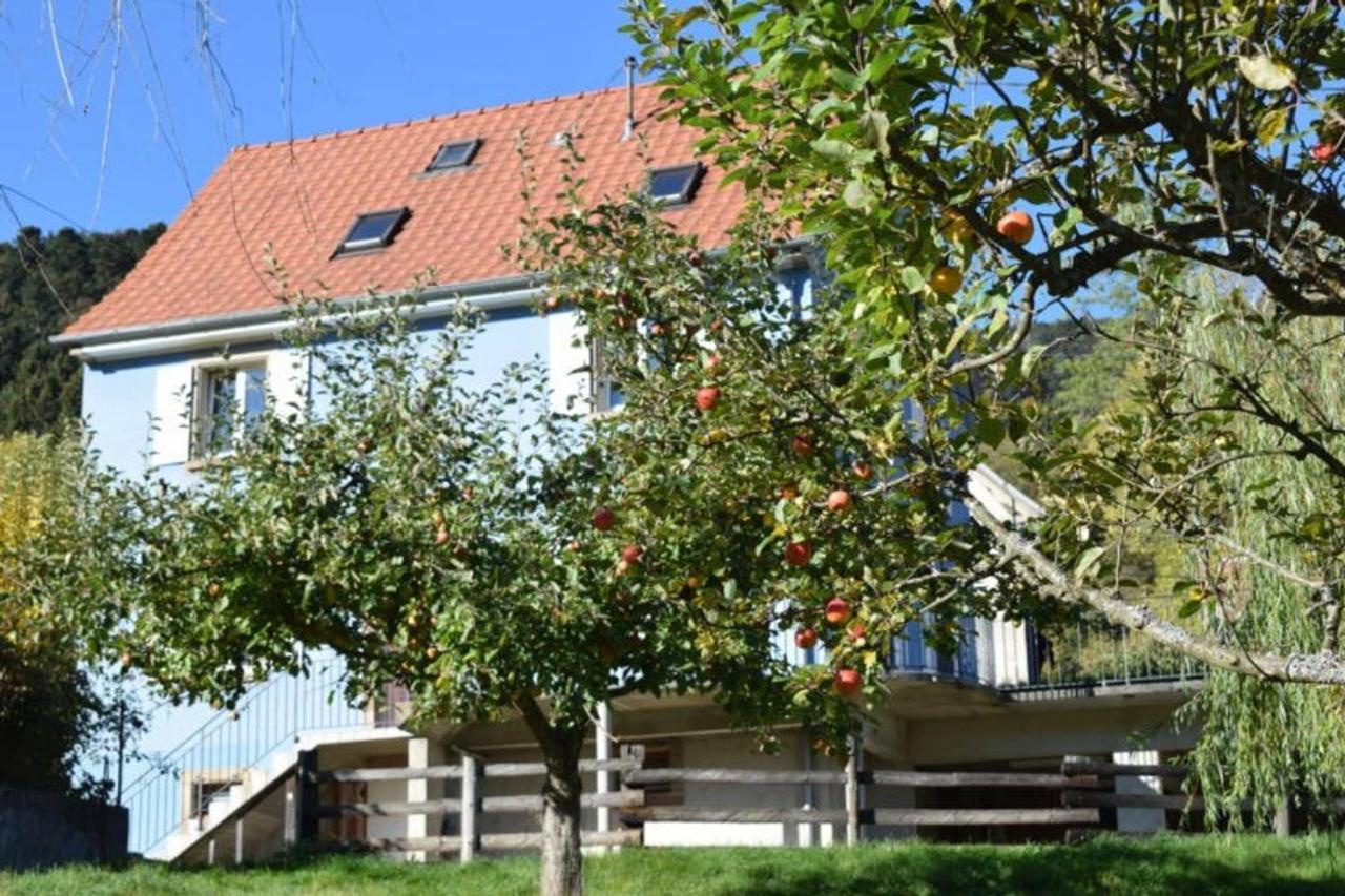 Les Locations De Stephanie ,Gite Le Verger Sondernach Εξωτερικό φωτογραφία