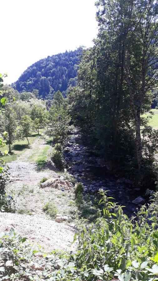 Les Locations De Stephanie ,Gite Le Verger Sondernach Εξωτερικό φωτογραφία