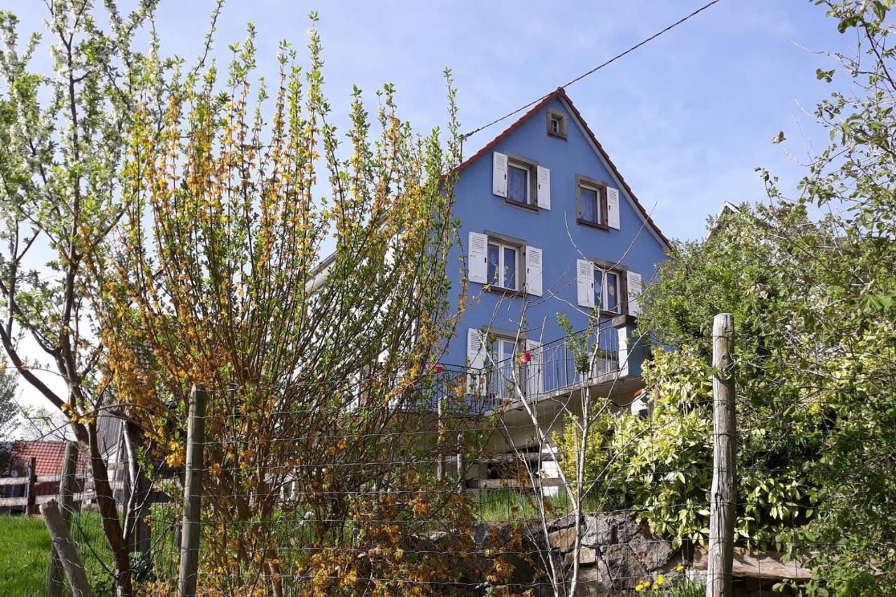 Les Locations De Stephanie ,Gite Le Verger Sondernach Εξωτερικό φωτογραφία