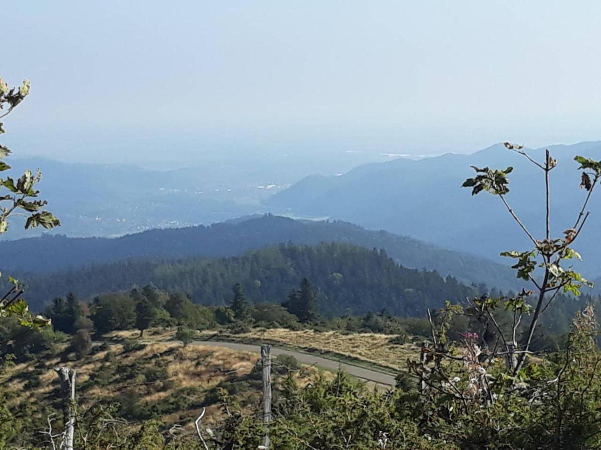 Les Locations De Stephanie ,Gite Le Verger Sondernach Εξωτερικό φωτογραφία