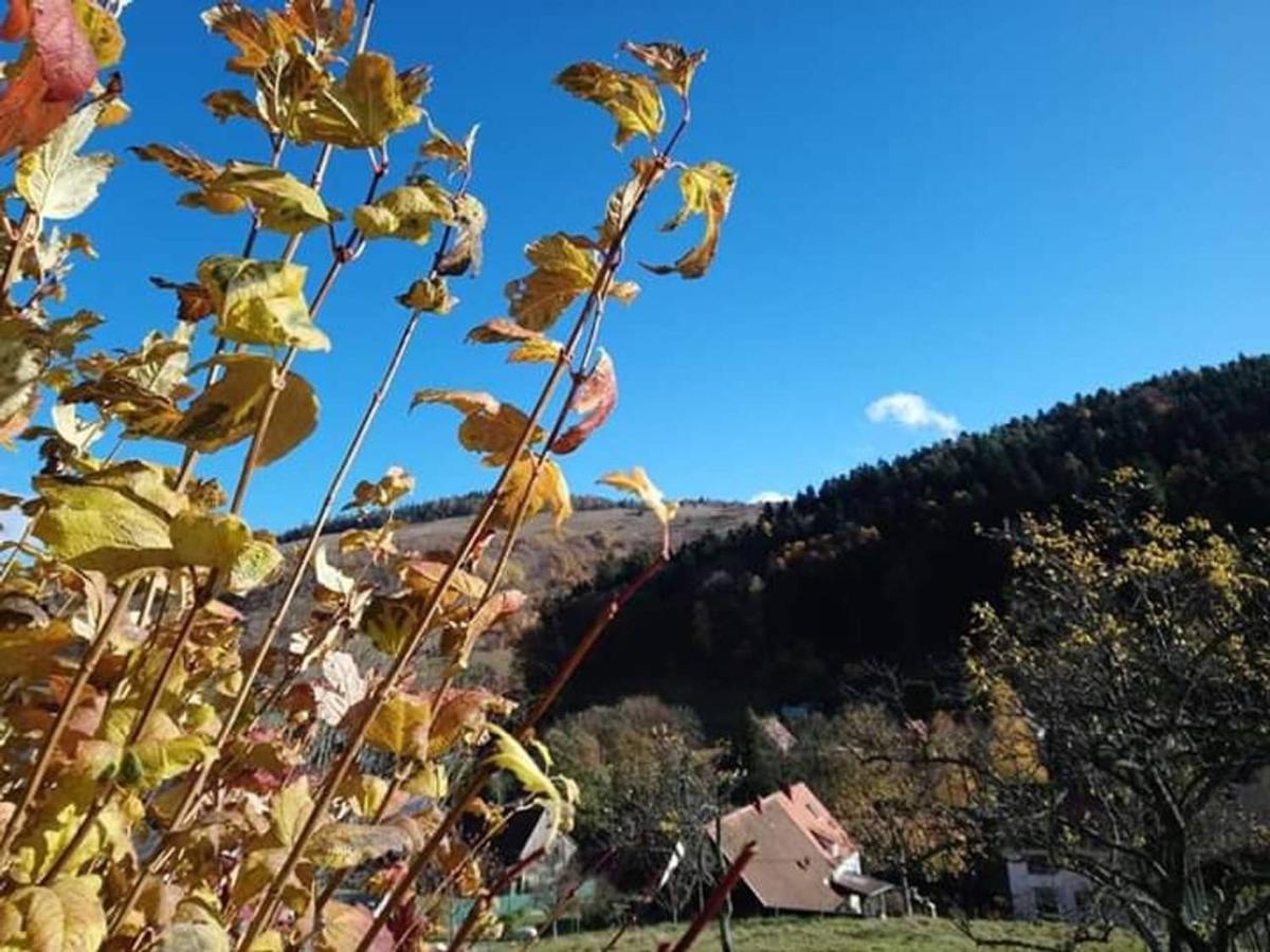 Les Locations De Stephanie ,Gite Le Verger Sondernach Εξωτερικό φωτογραφία