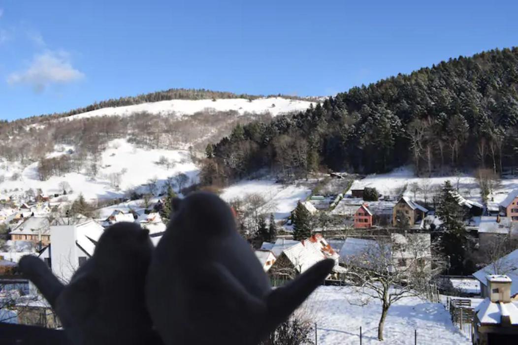 Les Locations De Stephanie ,Gite Le Verger Sondernach Εξωτερικό φωτογραφία