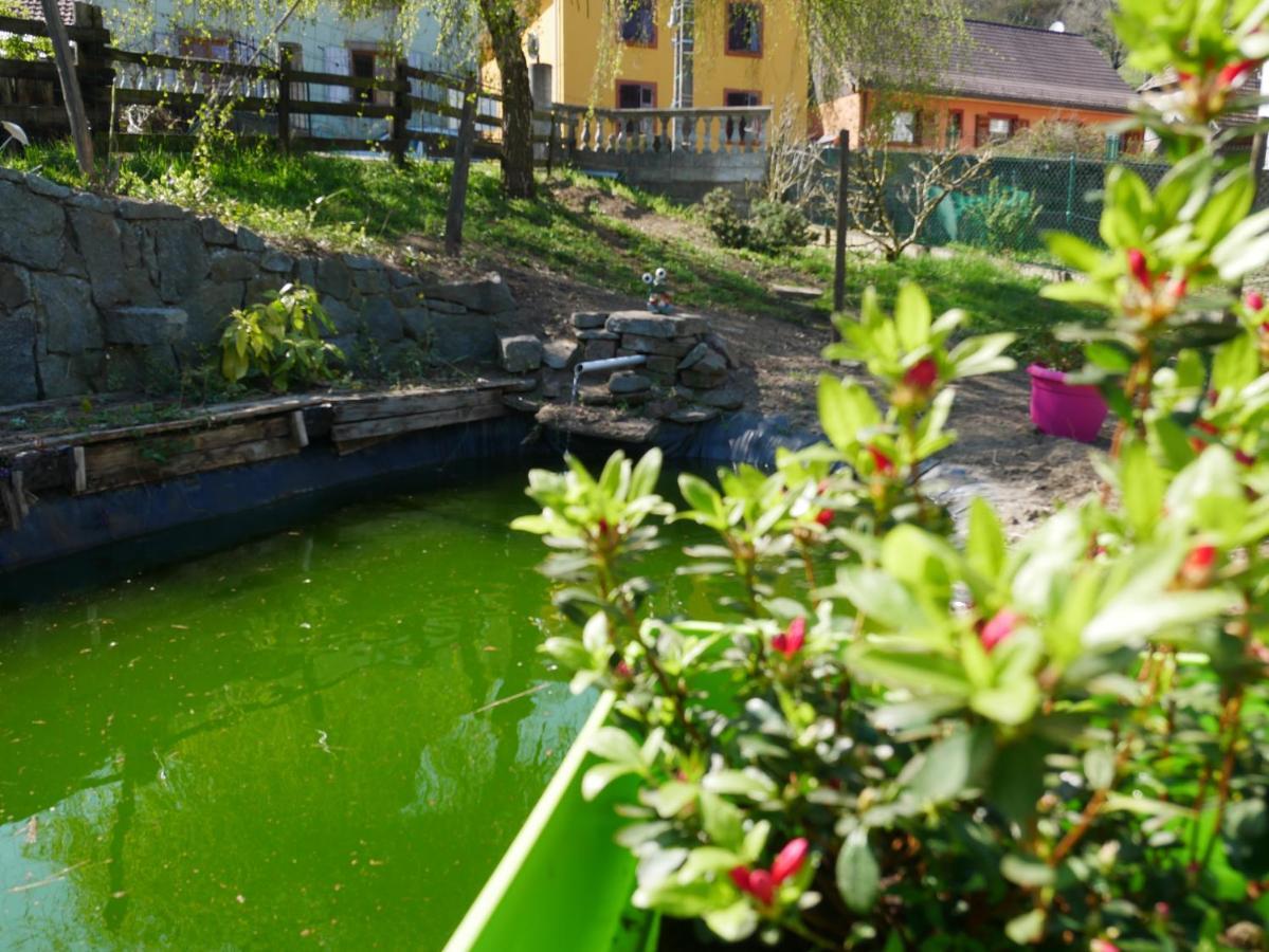 Les Locations De Stephanie ,Gite Le Verger Sondernach Εξωτερικό φωτογραφία