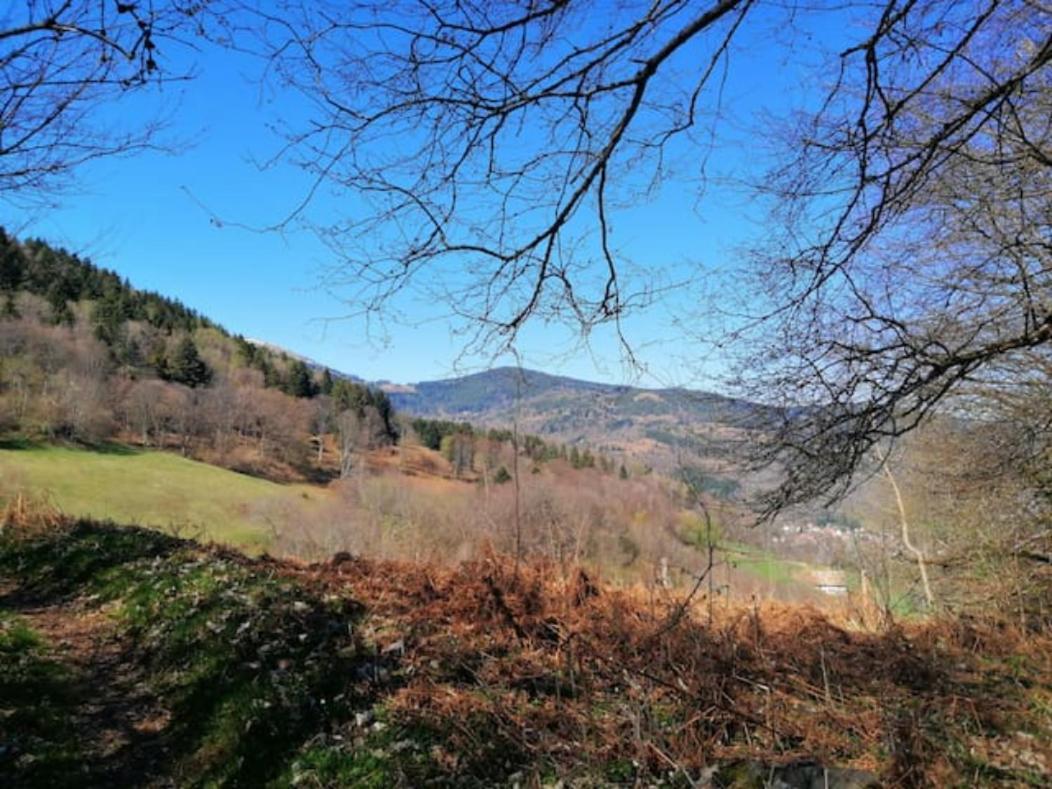 Les Locations De Stephanie ,Gite Le Verger Sondernach Εξωτερικό φωτογραφία