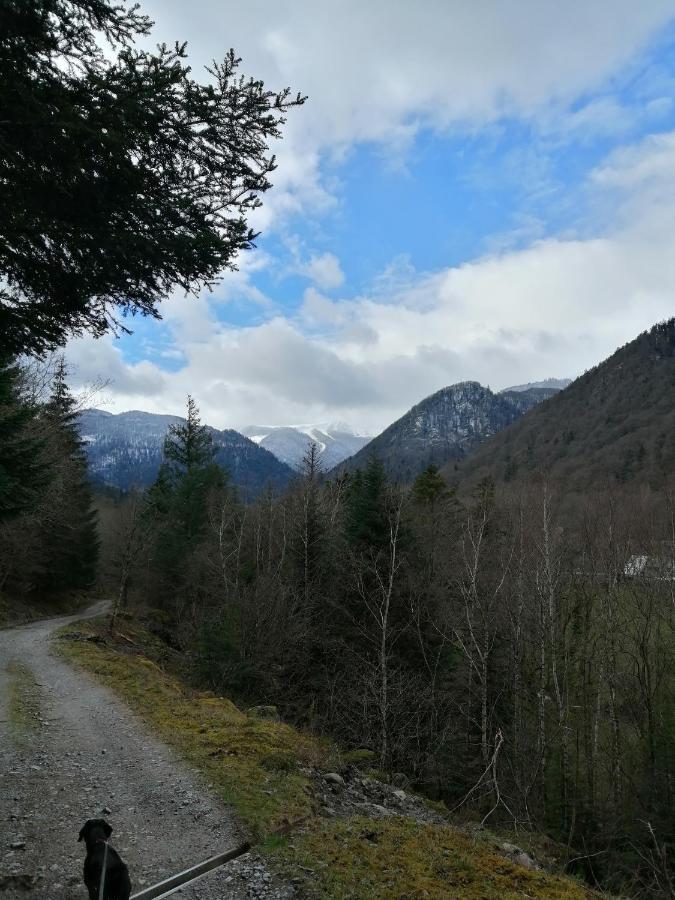 Les Locations De Stephanie ,Gite Le Verger Sondernach Εξωτερικό φωτογραφία